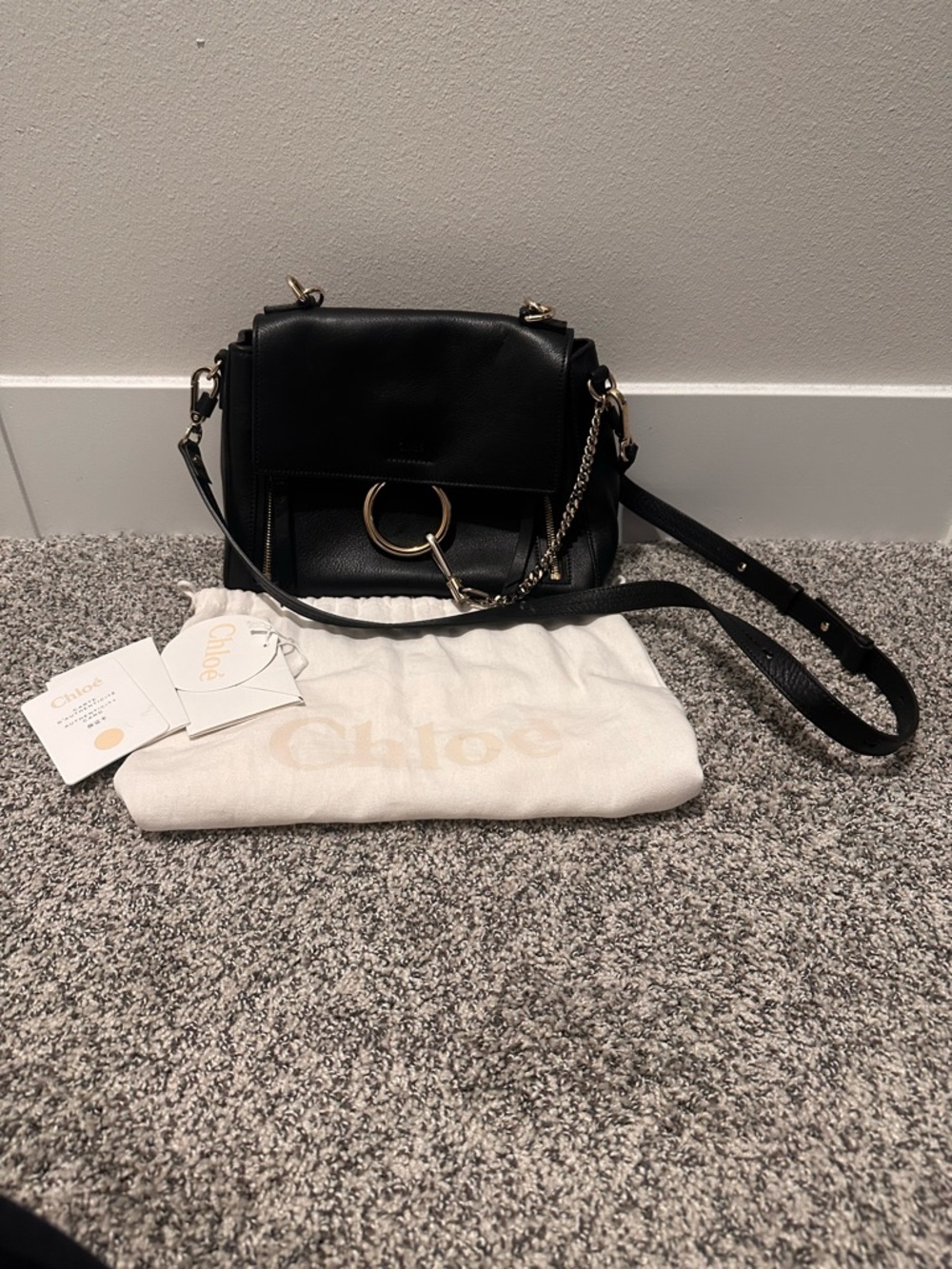 Chloe Faye Small Day Bag